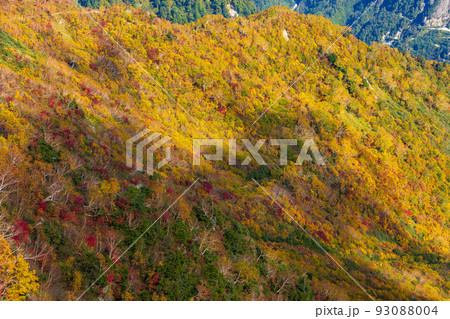 秋の立山黒部アルペンルート 大観峰からの紅葉と大パノラマ 秋の立山黒部アルペンルート 大観峰からの紅葉と大パノラマ 93088004