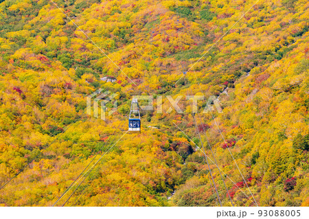 秋の立山黒部アルペンルート　錦秋の立山ロープウェイ 93088005