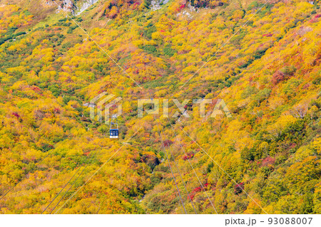 秋の立山黒部アルペンルート　錦秋の立山ロープウェイ 93088007