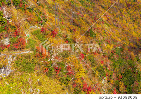 秋の立山黒部アルペンルート　大観峰からの紅葉と大パノラマ 93088008