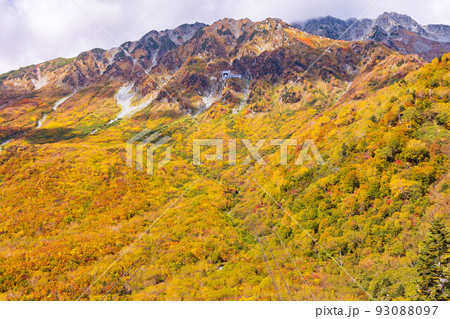 秋の立山黒部アルペンルート 黒部平パノラマテラスからの眺望 秋の立山黒部アルペンルート 黒部平パノラマテラスからの眺望 93088097