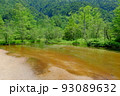 上高地　新緑の田代池 93089632