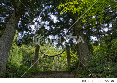 鳥取県日野町の瀧山神社のしめ縄 93090236
