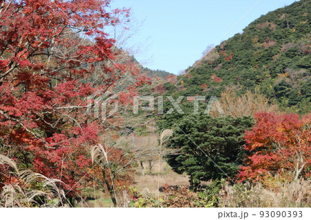 秋の雲仙天草国立公園 秋の雲仙天草国立公園 93090393
