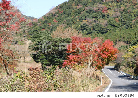 紅葉探しのドライブ 紅葉探しのドライブ 93090394