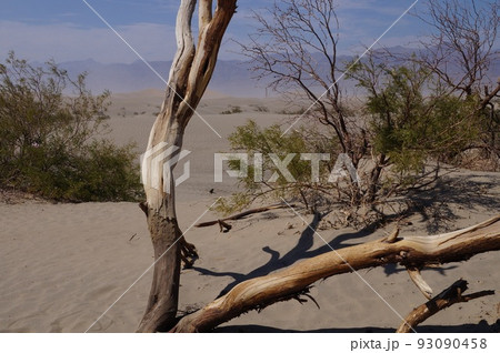 アメリカ合衆国 デスヴァレー国立公園の風景 93090458