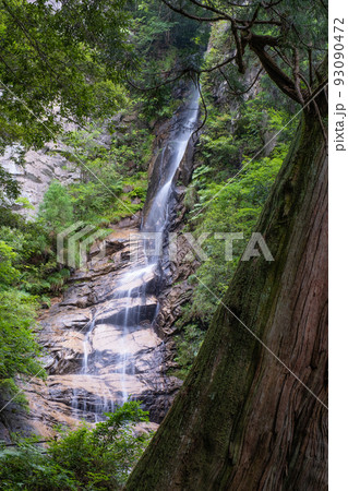 鳥取県日野町の龍王滝 93090472
