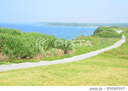 八丈島の緑の草に覆われた海岸線と、ブルーの海原 93090597