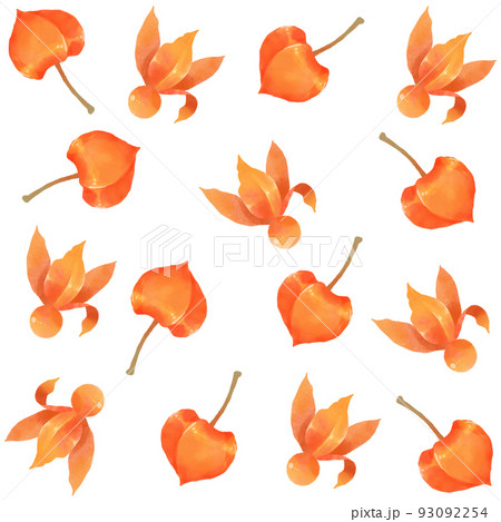 水彩で描かれたホオズキがモチーフのパターン素材のイラスト素材 水彩で描かれたホオズキがモチーフのパターン素材のイラスト素材