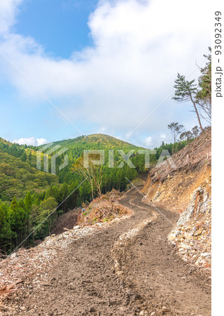 岡山県の名峰星山(ほしがせん)登山道の風景(岡山県真庭市星山)※作品コメント欄に撮影位置 岡山県の名峰星山(ほしがせん)登山道の風景(岡山県真庭市星山)※作品コメント欄に撮影位置 93092349