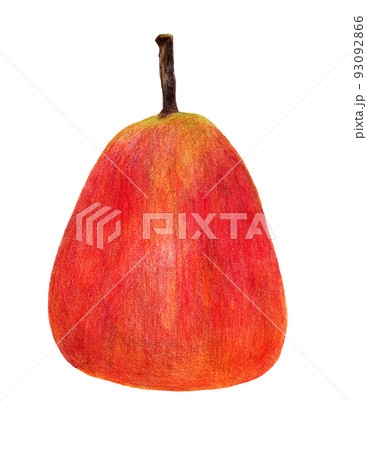 西洋梨 レッドバートの手描き色鉛筆画 93092866