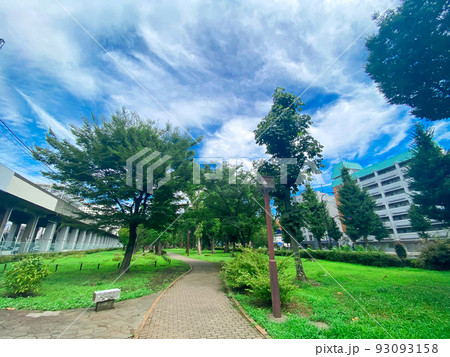 東京板橋・夏の西台緑地 93093158