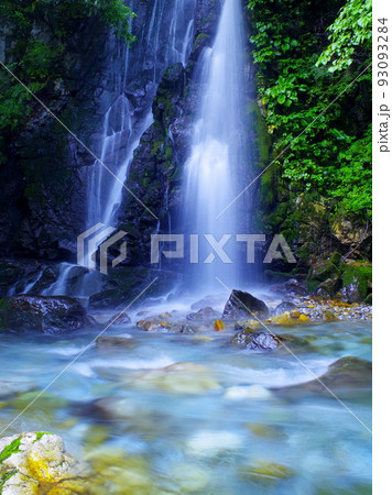 初夏の清流 93093284