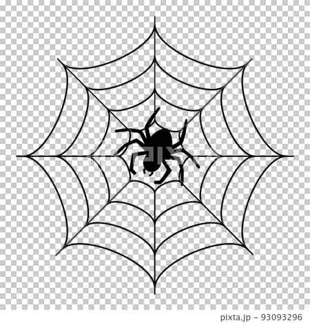蜘蛛と蜘蛛の巣 蜘蛛と蜘蛛の巣 93093296