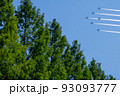 ブルーインパルスメタセコイア並木上空飛行 93093777