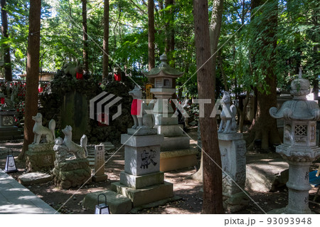 【豊川稲荷】霊狐塚のキツネたち 93093948