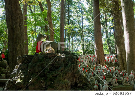 【豊川稲荷】霊狐塚のキツネたち 93093957