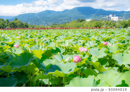 西堀橋と南葉山 93094019