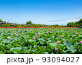 夏の高田城址公園 93094027