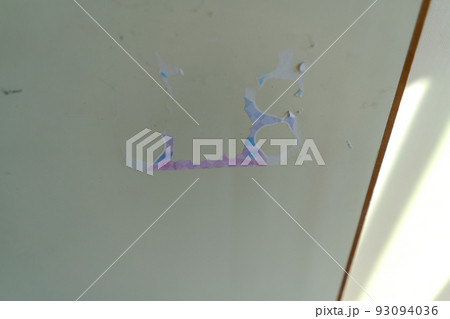 壁のシール 93094036