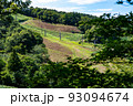 夏の金谷山スキー場 93094674