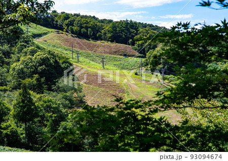 夏の金谷山スキー場 夏の金谷山スキー場 93094674