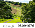 夏の金谷山 93094676