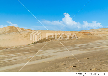 ニュージーランド　ケープ・レインガの近郊にあるテパキ大砂丘 93097091