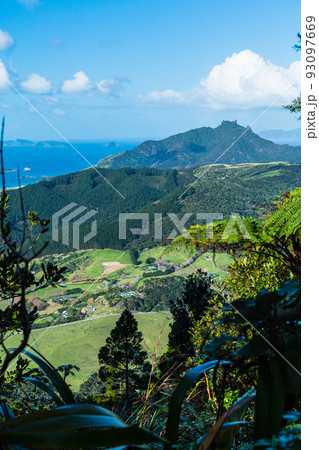 ニュージーランド　ファンガレイヘッズのマナイア山から見えるブリームヘッド景観保護区 93097669