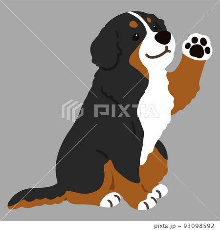 ライフルペーパー　ドッグデイズ　犬のイラストの絵 was026-01-