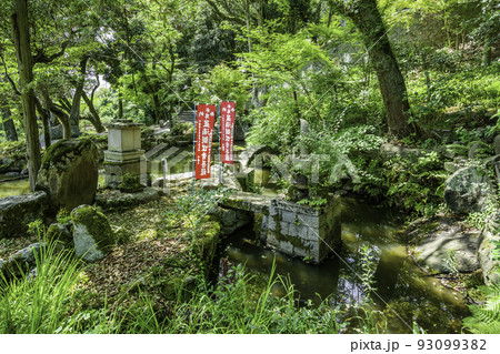円通寺 弁天池 岡山県倉敷市 円通寺 弁天池 岡山県倉敷市 93099382