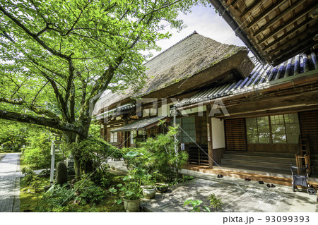 円通寺 本堂 岡山県倉敷市 円通寺 本堂 岡山県倉敷市 93099393