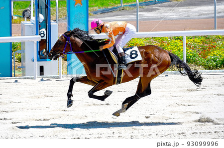 競馬場の競走馬、サラブレッド、が晴れた空の下で疾走する 93099996