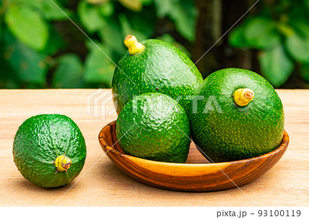Closeup view group of fresh green avocadoes with stalk in wooden plate. Closeup view group of fresh green avocadoes with stalk in wooden plate. 93100119