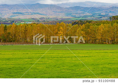 秋の美しい北海道の景色 秋の美しい北海道の景色 93100488
