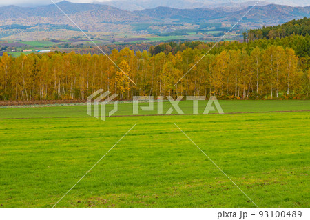 秋の美しい北海道の景色 93100489