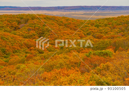 秋の美しい北海道の景色 秋の美しい北海道の景色 93100505