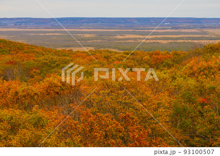 秋の美しい北海道の景色 秋の美しい北海道の景色 93100507
