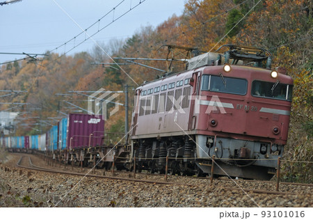 北陸本線　津幡ー倶利伽羅　JR貨物　EF81-29（富山） 93101016