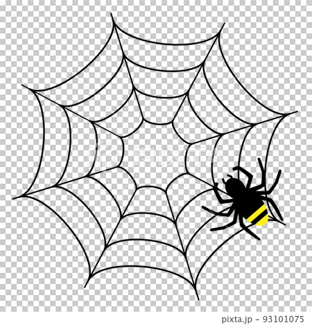 Spiders and spider webs 93101075