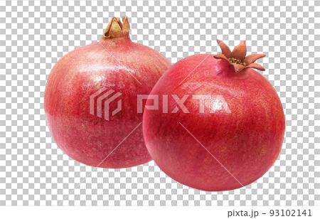 Pomegranate pomegranate illustration real set 93102141