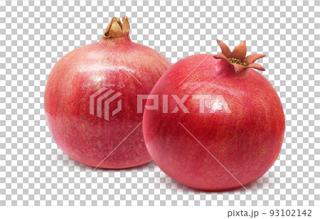 Pomegranate pomegranate illustration real set 93102142