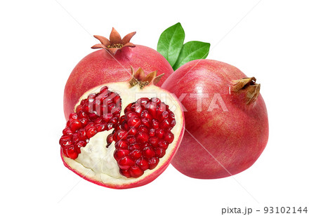 ざくろ 柘榴 イラスト リアル セット ざくろ 柘榴 イラスト リアル セット 93102144