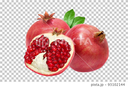 ざくろ 柘榴 イラスト リアル セット ざくろ 柘榴 イラスト リアル セット 93102144