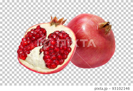Pomegranate pomegranate illustration real set 93102146