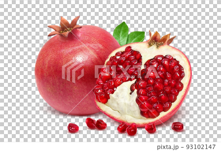 Pomegranate pomegranate illustration real set 93102147