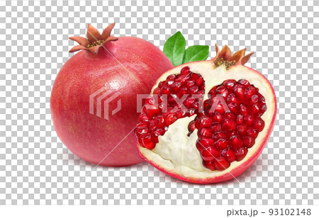 ざくろ 柘榴 イラスト リアル セットのイラスト素材 [93102148] - PIXTA