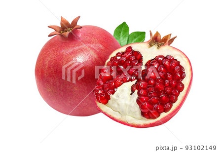 ざくろ 柘榴 イラスト リアル セット 93102149