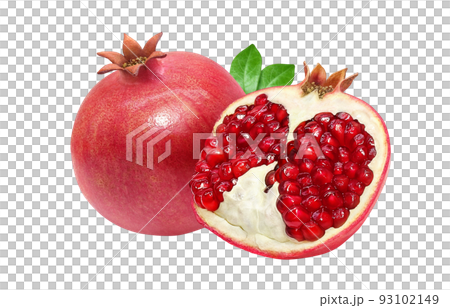 Pomegranate pomegranate illustration real set 93102149