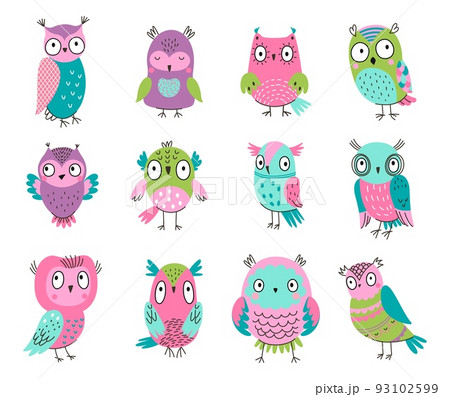 colorful cartoon owl